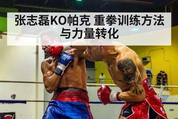 张志磊KO帕克 重拳训练方法与力量转化